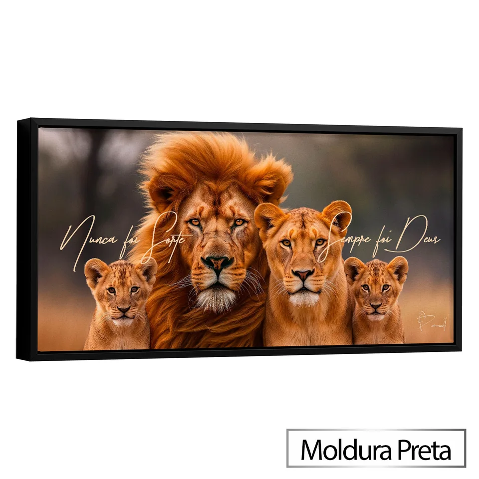 Quadro Nunca Foi Sorte, Sempre Foi Deus - Família