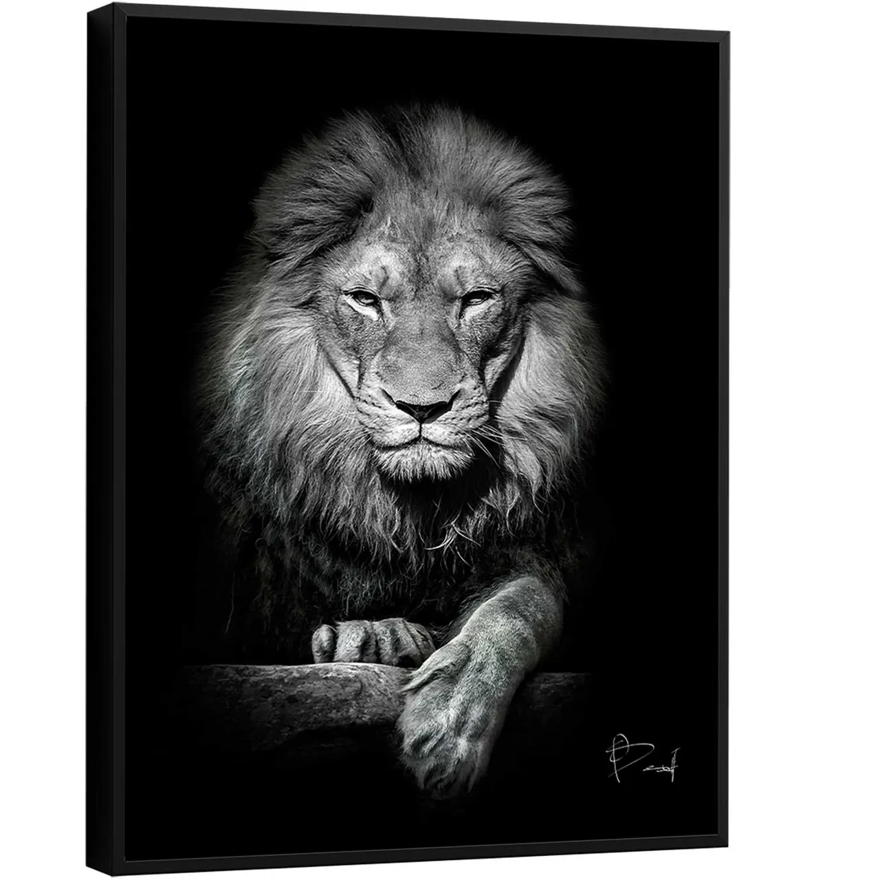 Quadro Leão no Preto, retrato de leão em preto e branco sobre fundo escuro