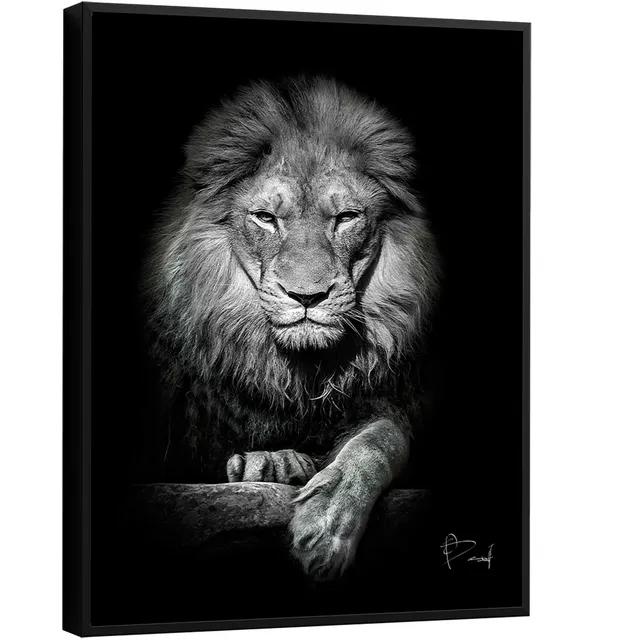 Quadro Leão no Preto. Quadro decorativo de leão preto e branco para escritório
