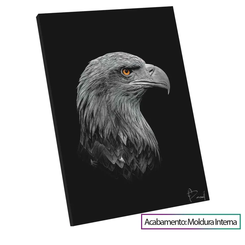 8326 Quadro Àguia Visionária 7
