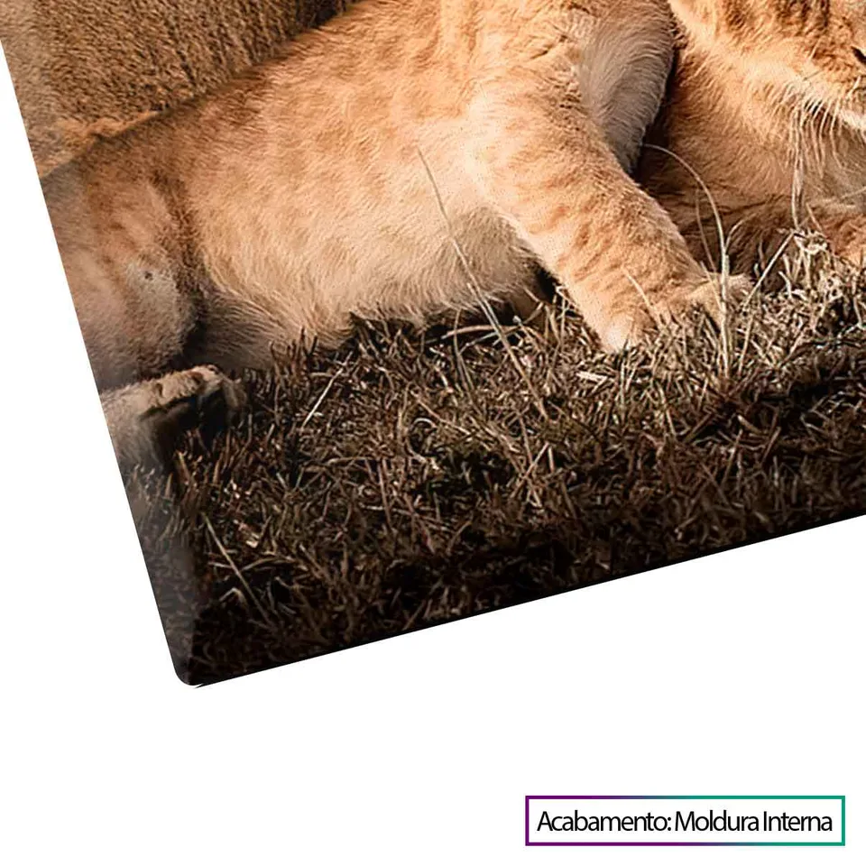família safari Detalhe-Moldura-Interna