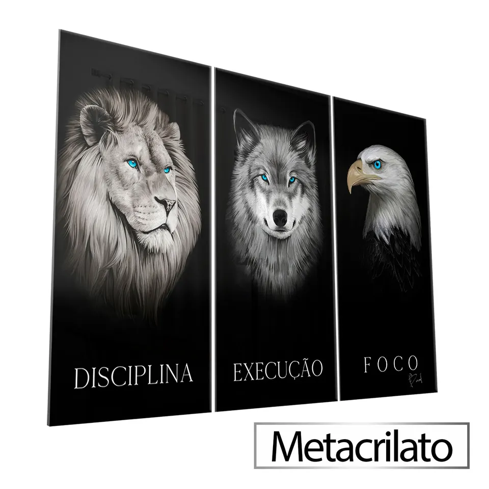 Quadro Disciplina, Execução e Foco 3 Peças