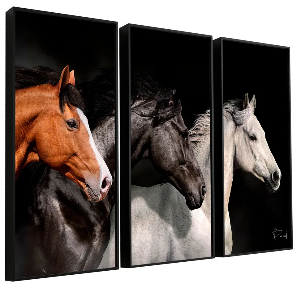Quadro Belos Cavalos Três Peças - Combinações | QuadrosDecorativos.com