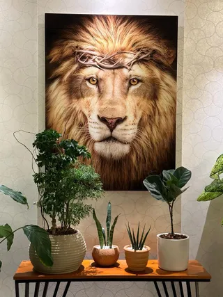 Quadro Leão de Judá na casa de Amanda Eduarda
