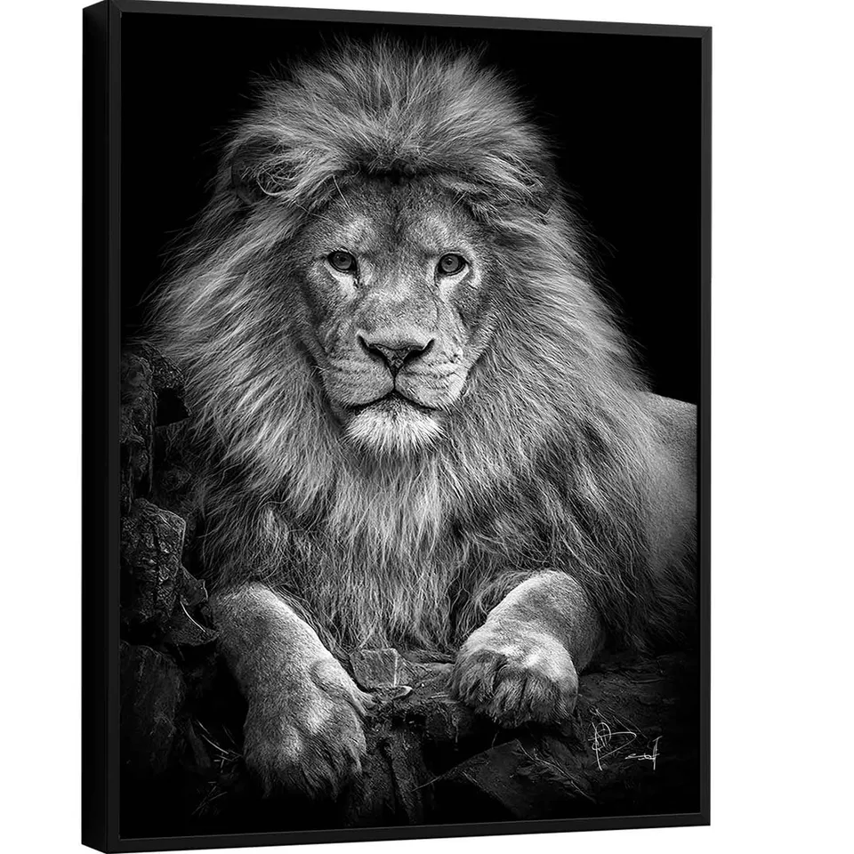Quadro Leão na Pedra Preto e Branco