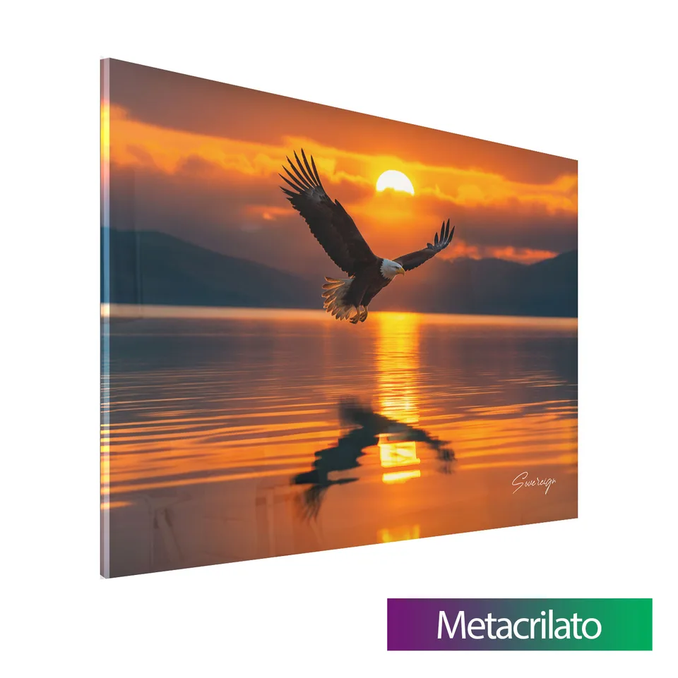 8992 Quadro Águia ao Pôr do Sol (7)