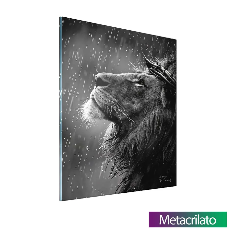 METACRILATO