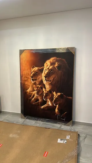 Quadro Família de Leões - 3 Filhotes na casa de Antonio