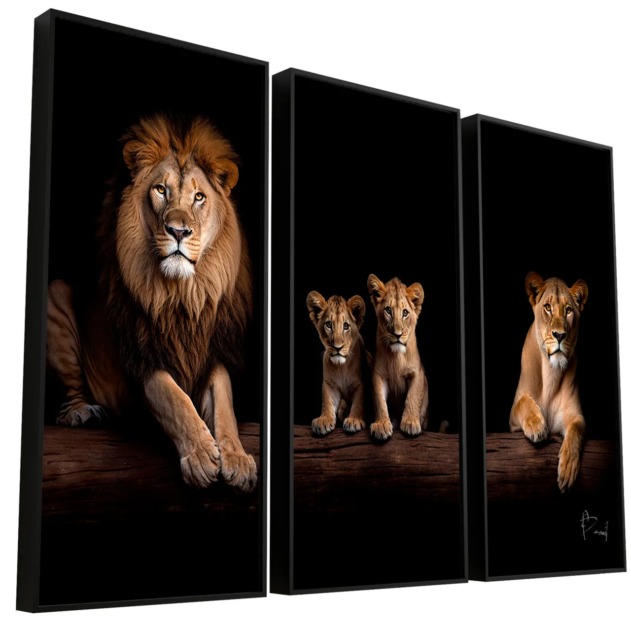 Quadro Família de Leões Elegantes 3 peças, leão, filhotes e leoa numa cena contínua