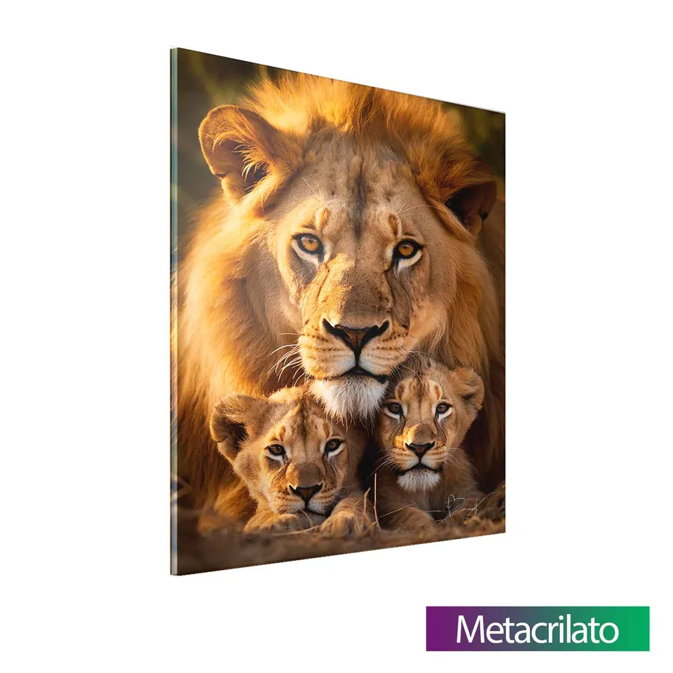 Quadro Proteção Paterna do Leão — foto 15