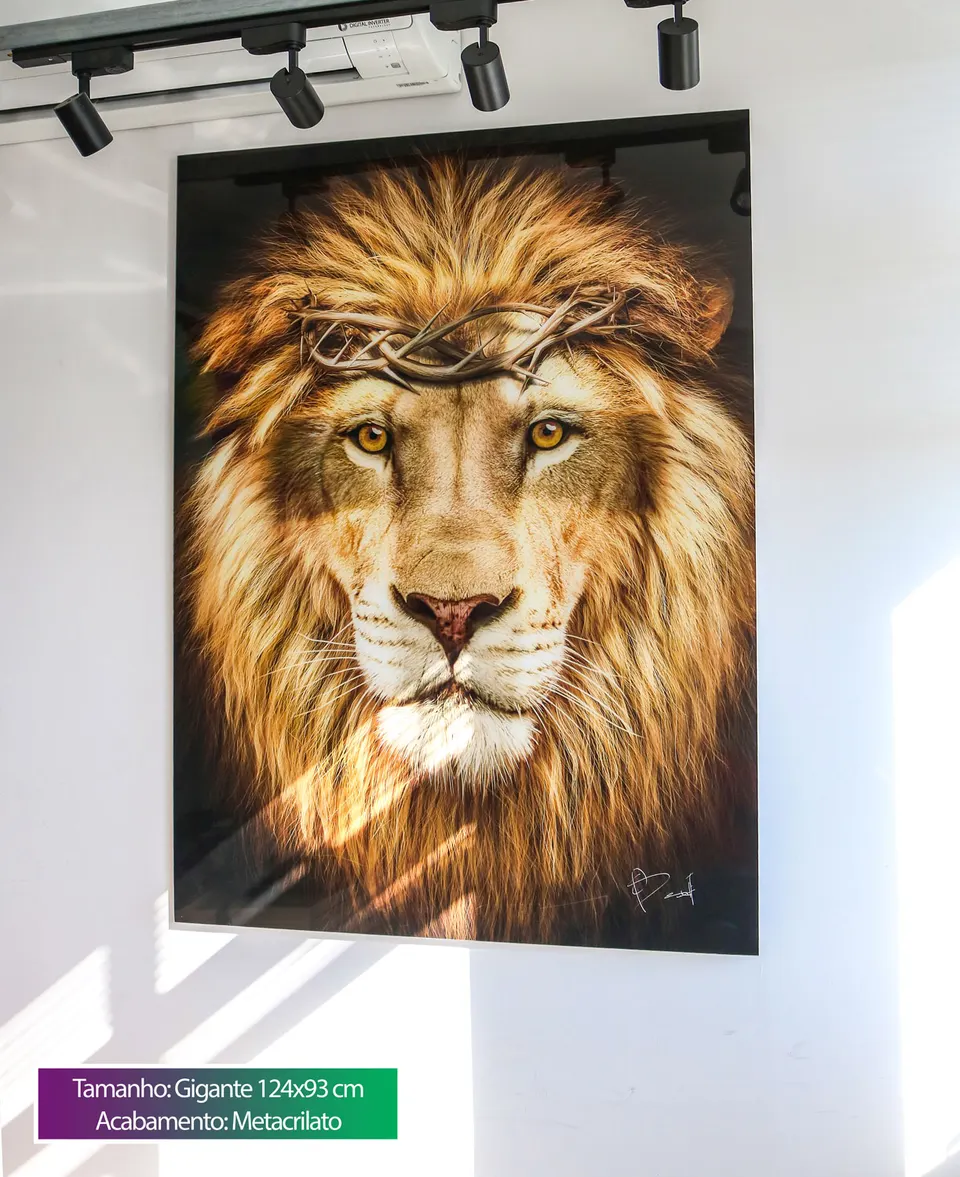 Quadro Leão de Judá acabamento metacrilato em parede branca