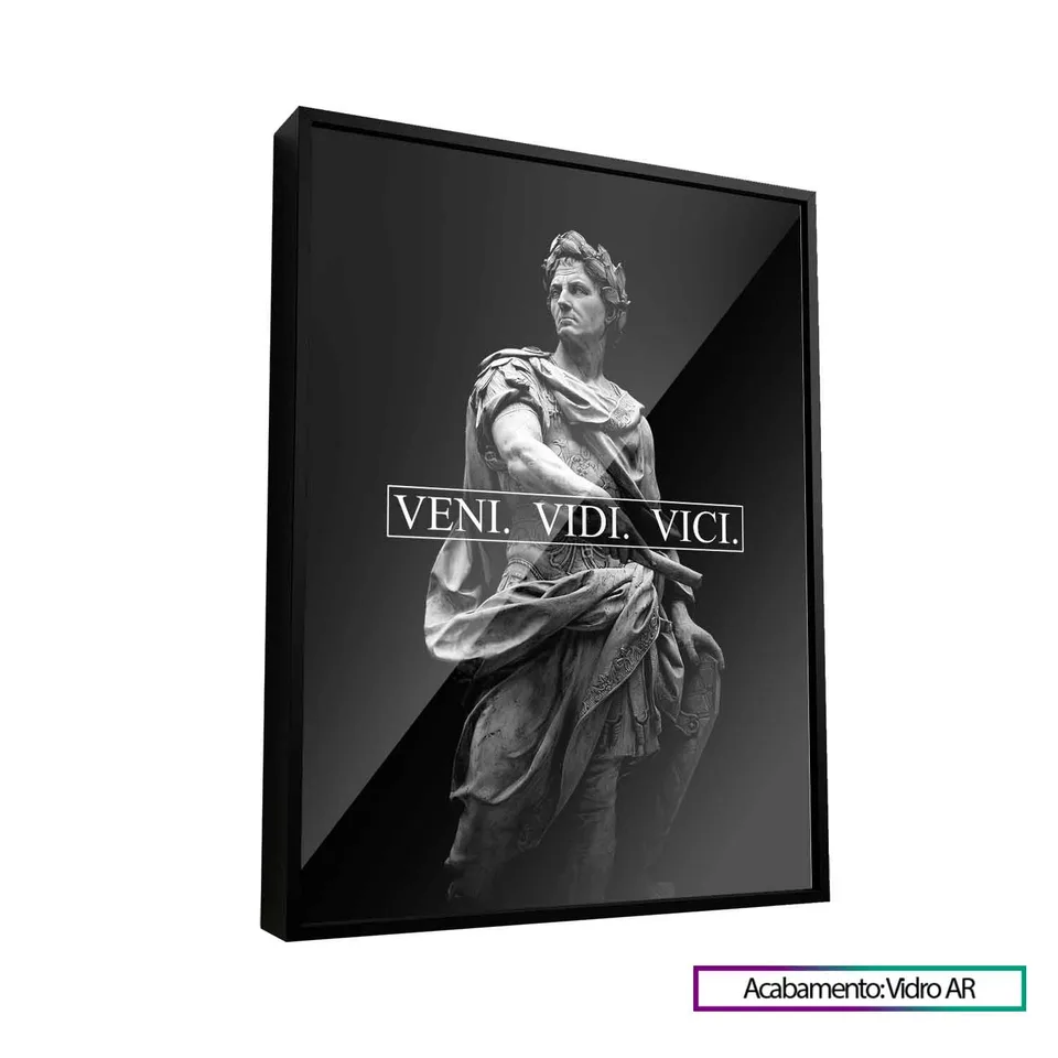 veni vidi vicividro