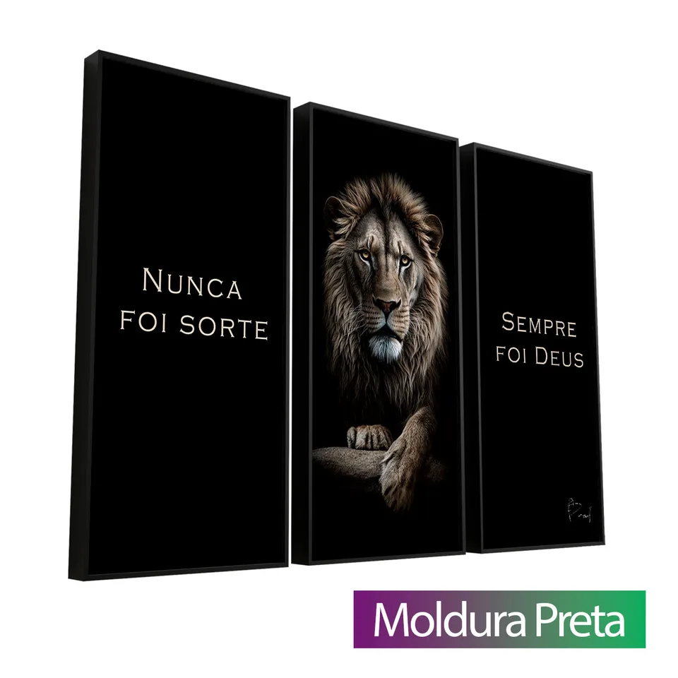 Quadro decorativos Nunca Foi Sorte, Sempre Foi Deus 3 Peças