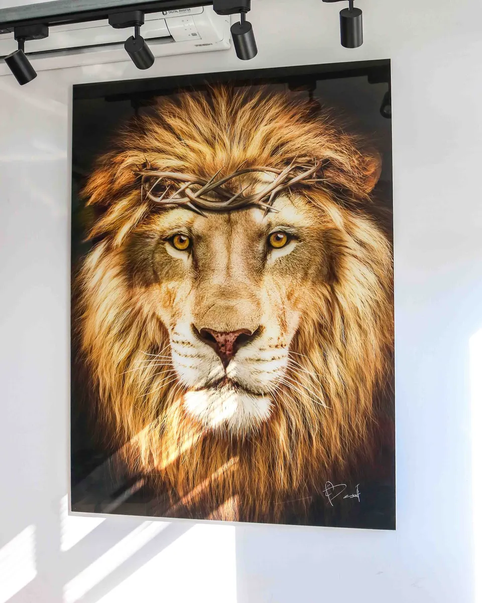 Quadro Leão de Judá