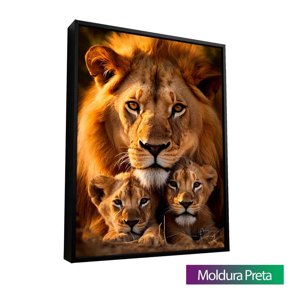 Quadro Proteção Paterna do Leão — foto 13