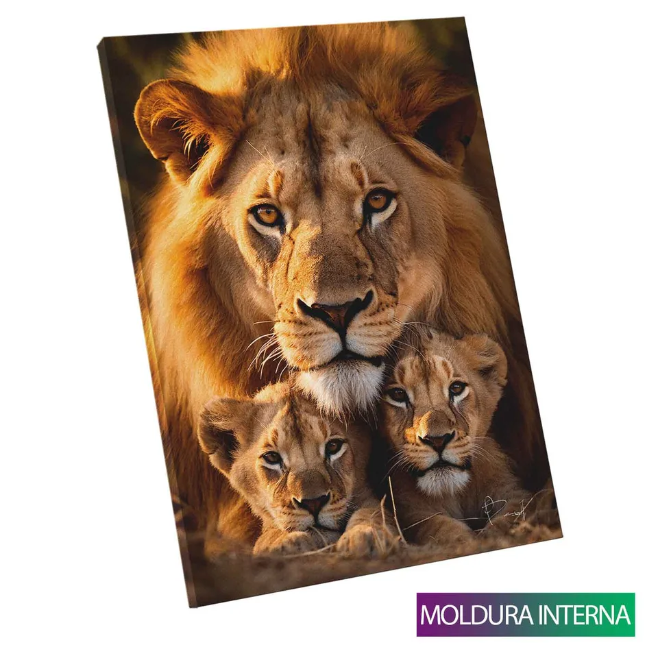 Quadro Proteção Paterna do Leão — foto 14