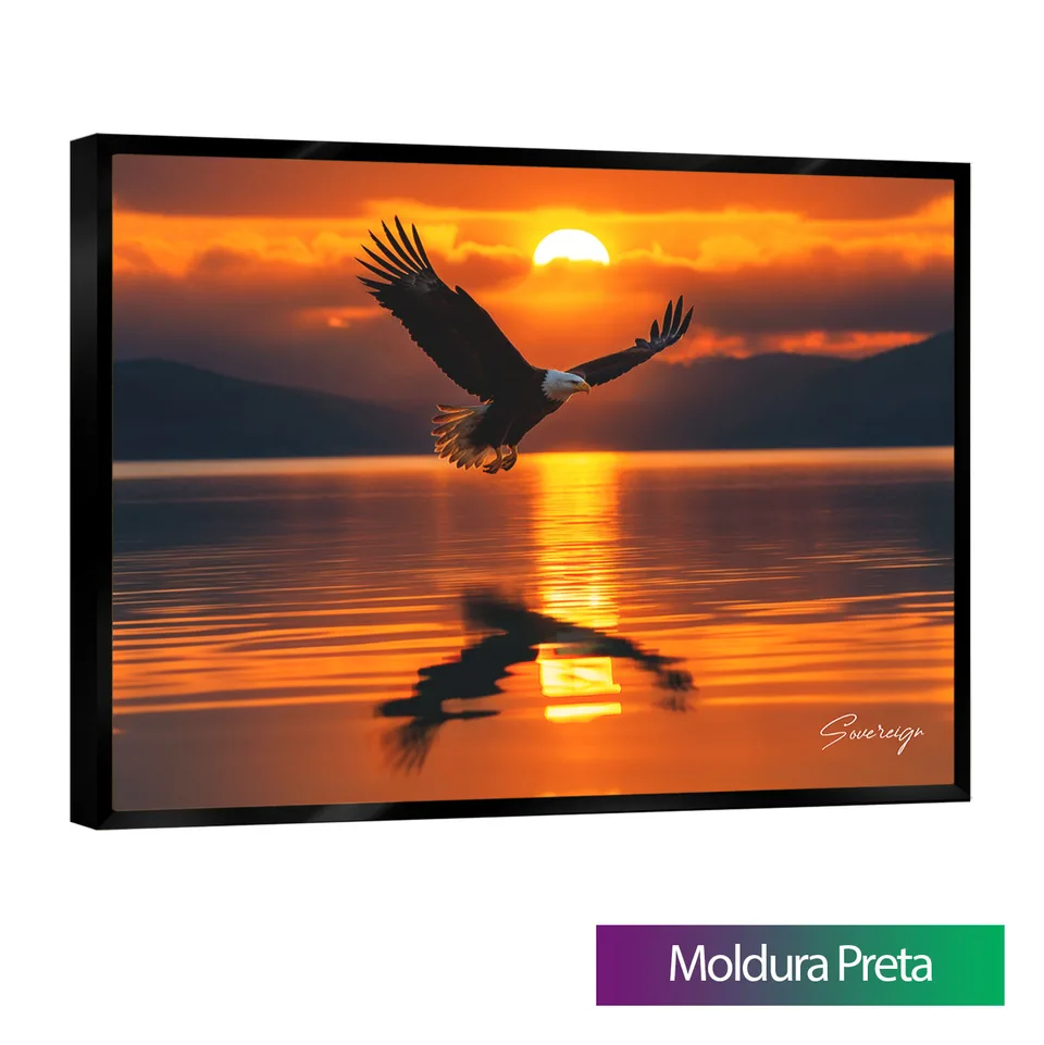 8992 Quadro Águia ao Pôr do Sol (4)