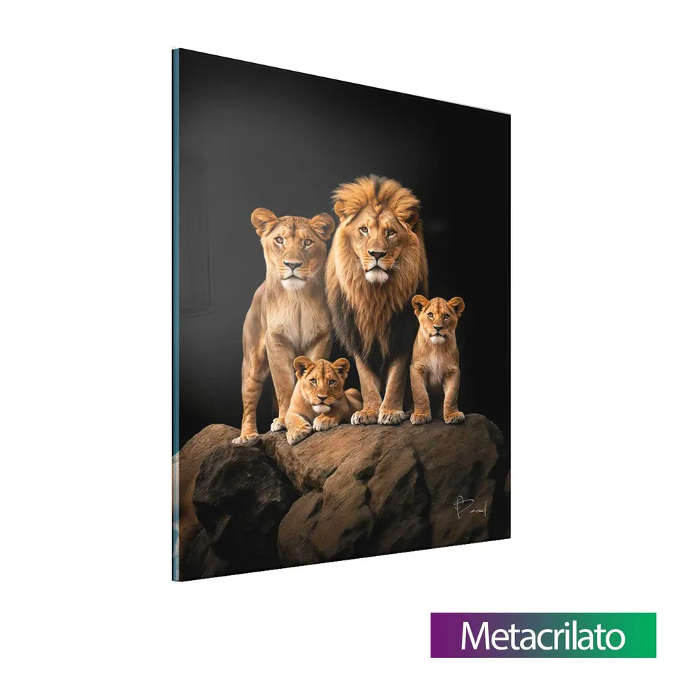 Quadro Família de Leões no Preto — foto 13