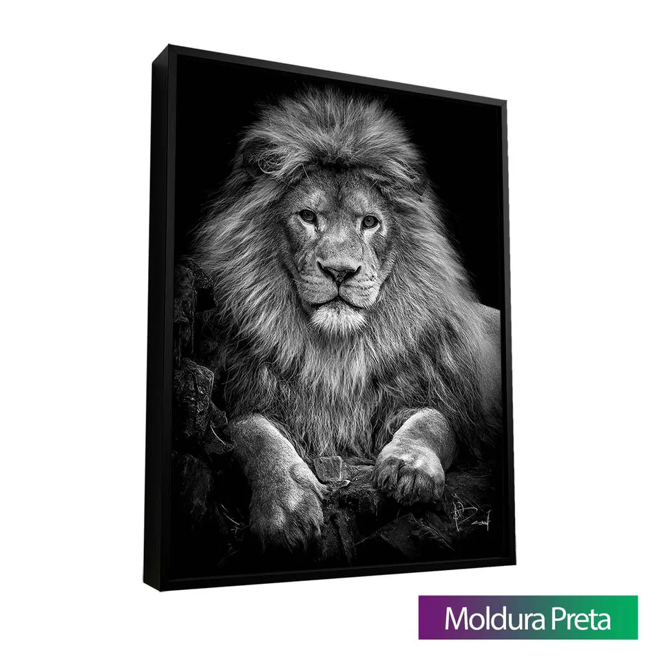 8184 Quadro Leão na Pedra Preto e Branco (3)