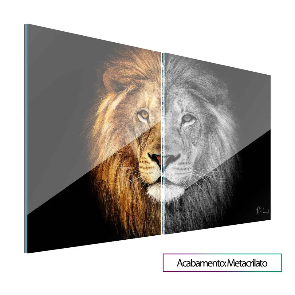 leão-metade-preto-e-branco-7