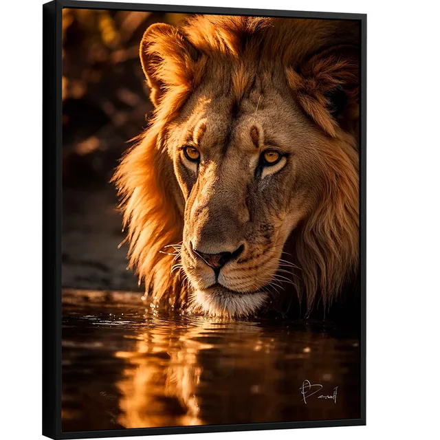 Quadro A Serenidade do Leão - Quadros de Leão | QuadrosDecorativos.com