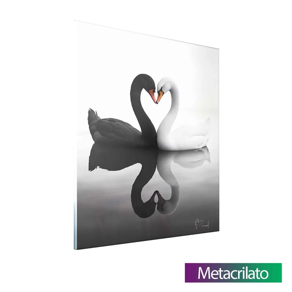 Quadro Cisnes Afetuosos — foto 11