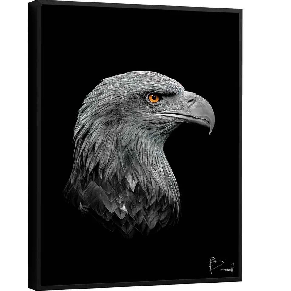 Quadro Águia Visionária - Quadros de Motivação | QuadrosDecorativos.com