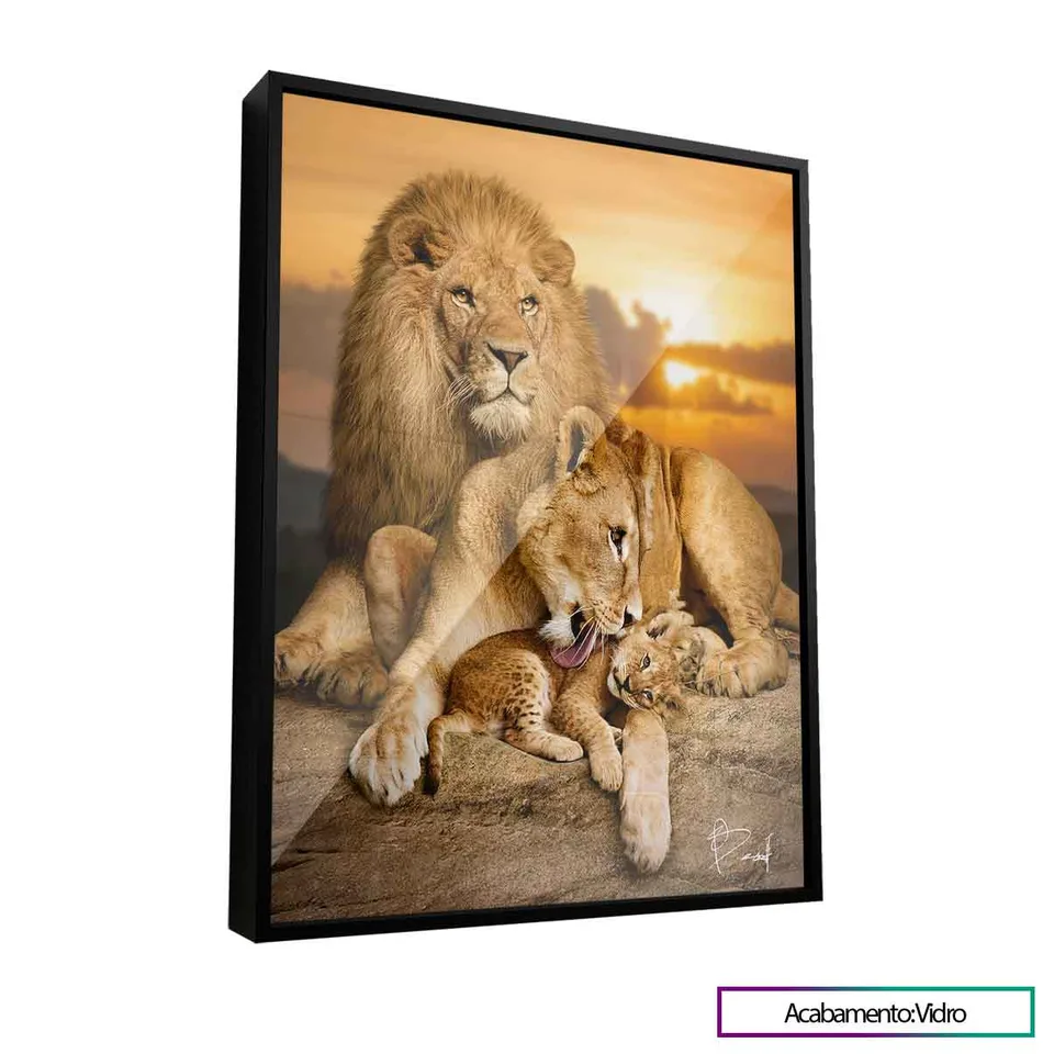 Quadro Família de Leões - O Primogênito com vidro
