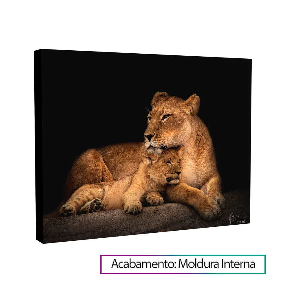 8236 Quadro Leoa Amorosa 5