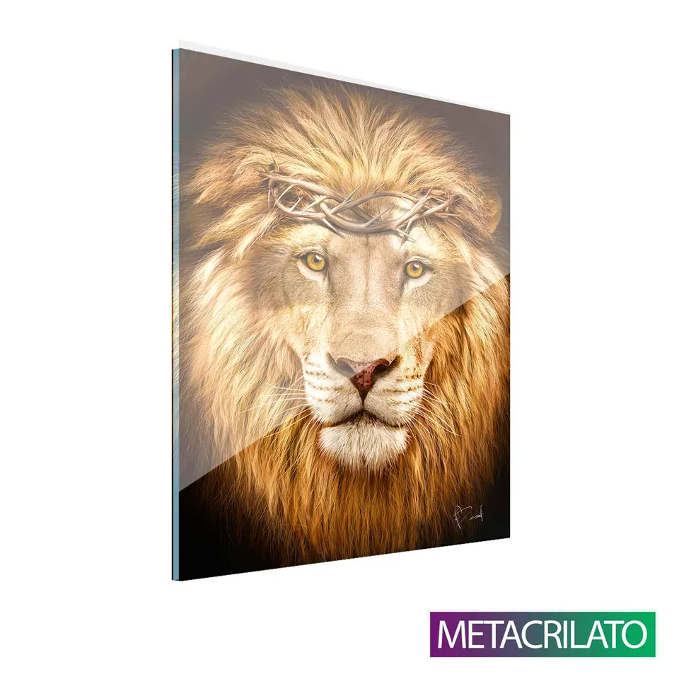 Quadro Leão de Judá Molduar Metacrilato