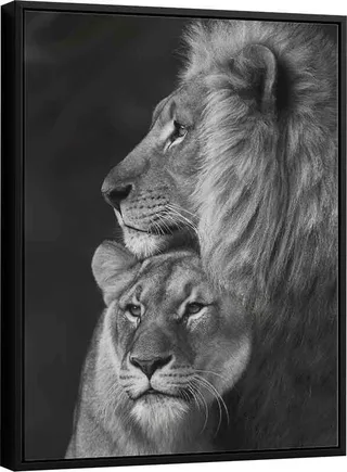Quadro Casal de Leões. Leão e leoa em preto e branco, arte para quarto de casal