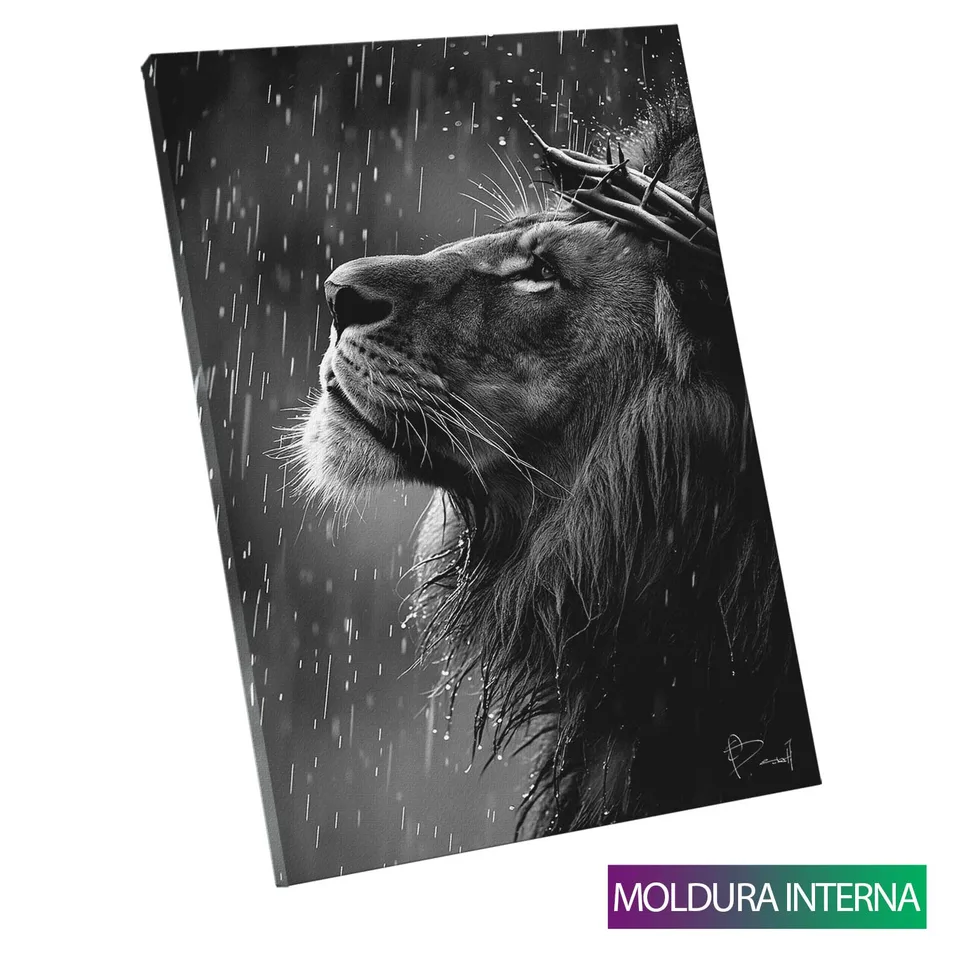 MOLDURA-INTERNA