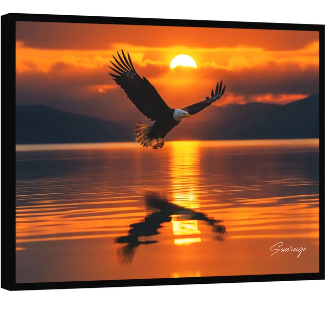 Quadro Águia ao Pôr do Sol - Quadros de Paisagem | QuadrosDecorativos.com