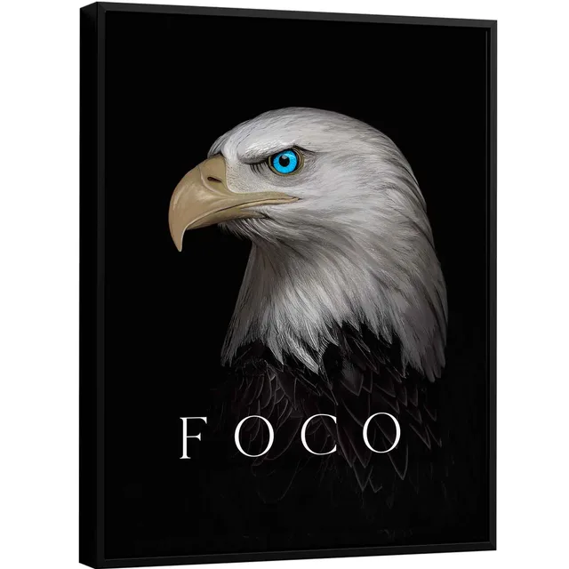 Quadro Águia em Foco - Arquétipos | QuadrosDecorativos.com