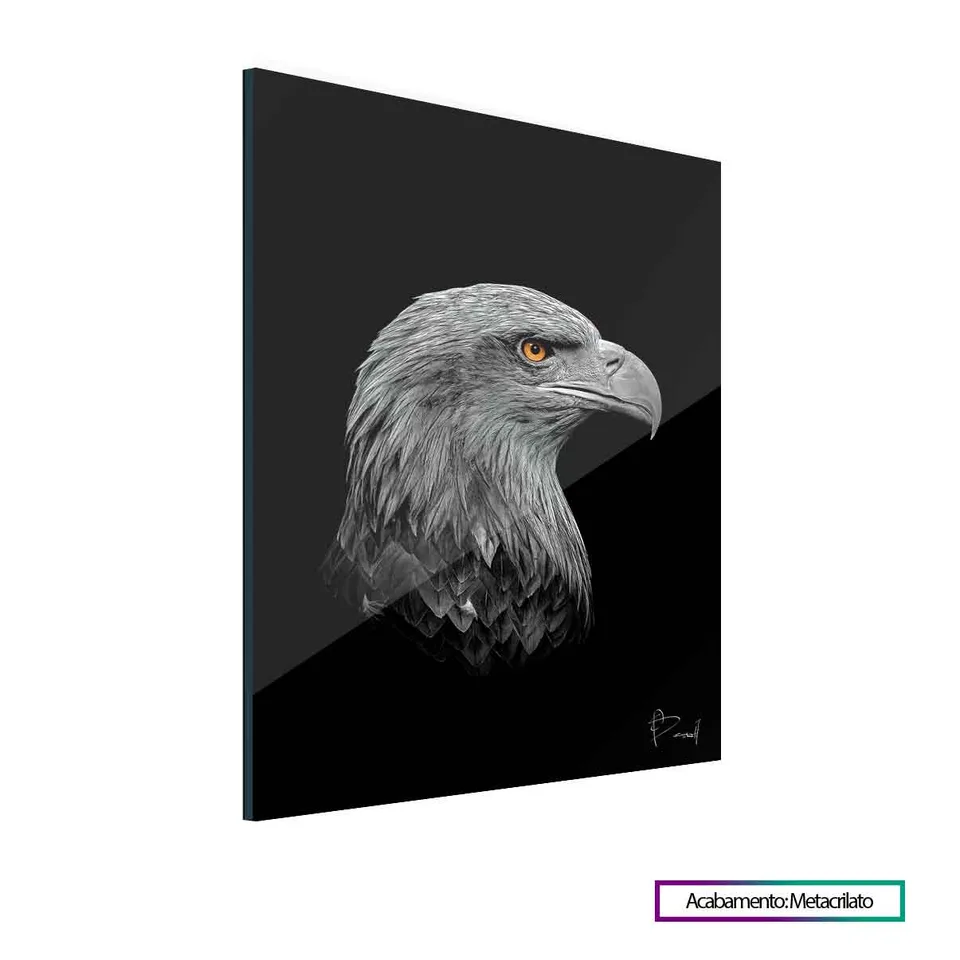 8326 Quadro Àguia Visionária 6