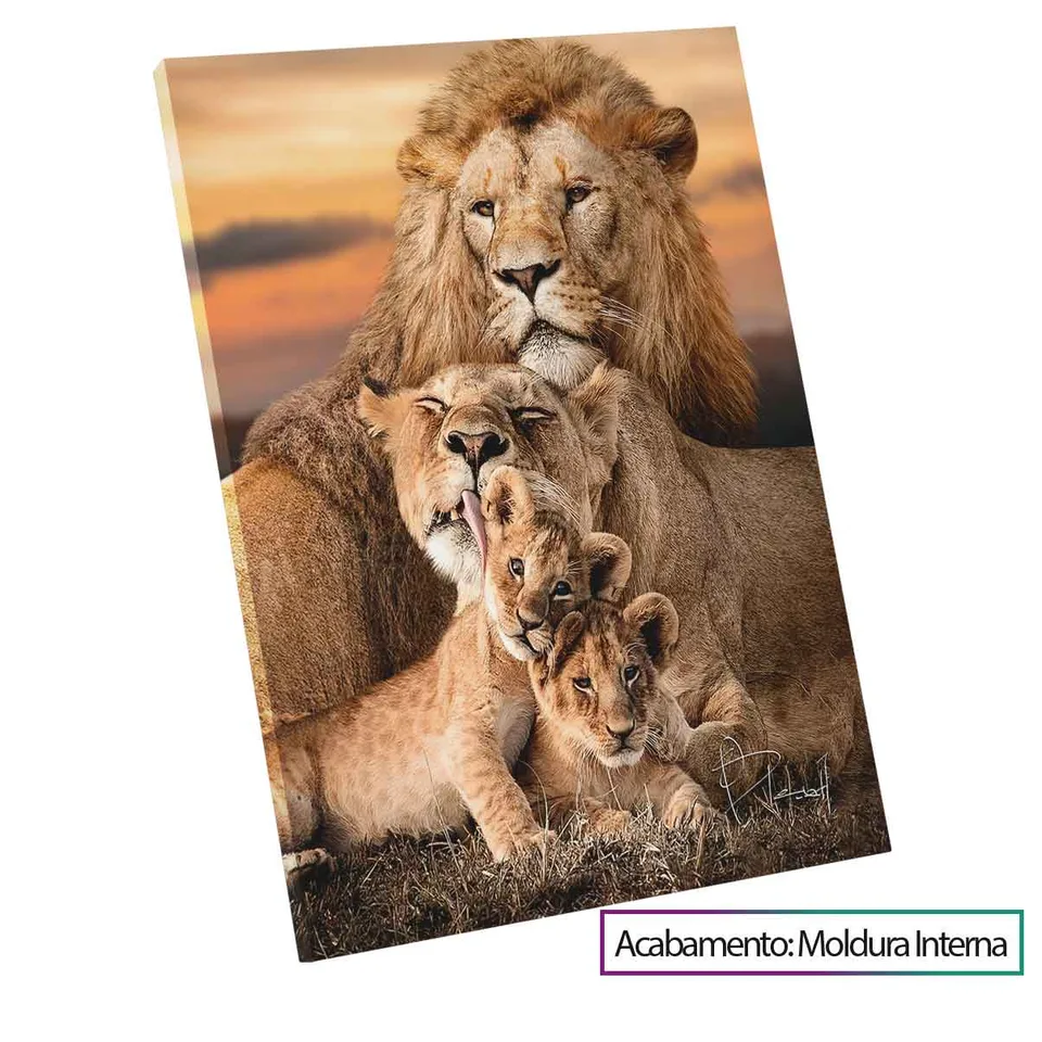família safari Moldura-Interna