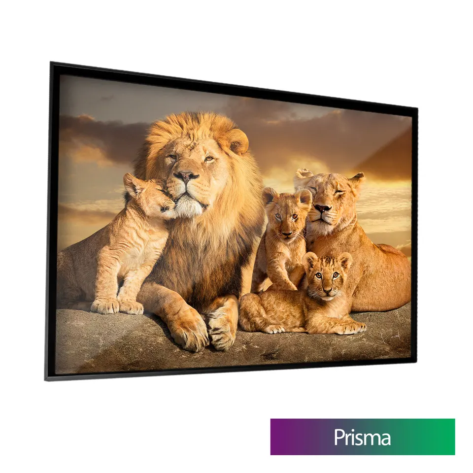 Quadro A Linhagem do Leão com moldura Prisma e vidro