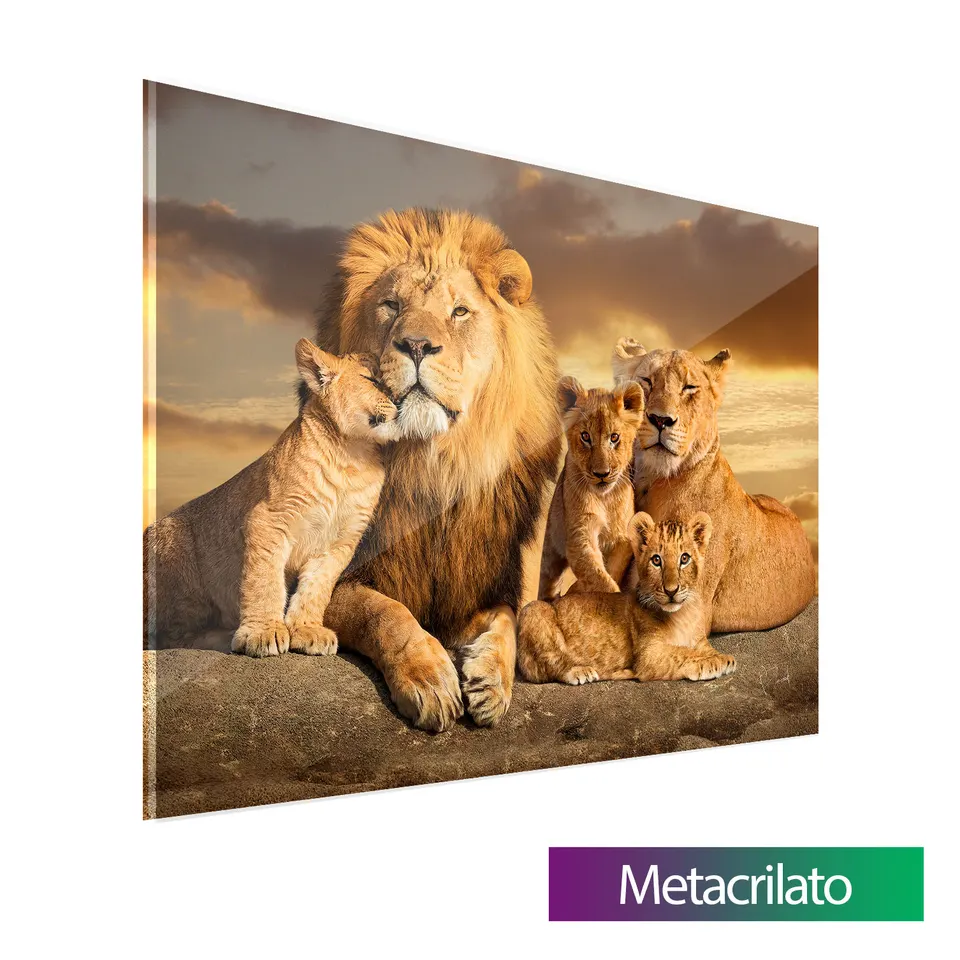 Quadro A Linhagem do Leão com acabamento em metacrilato