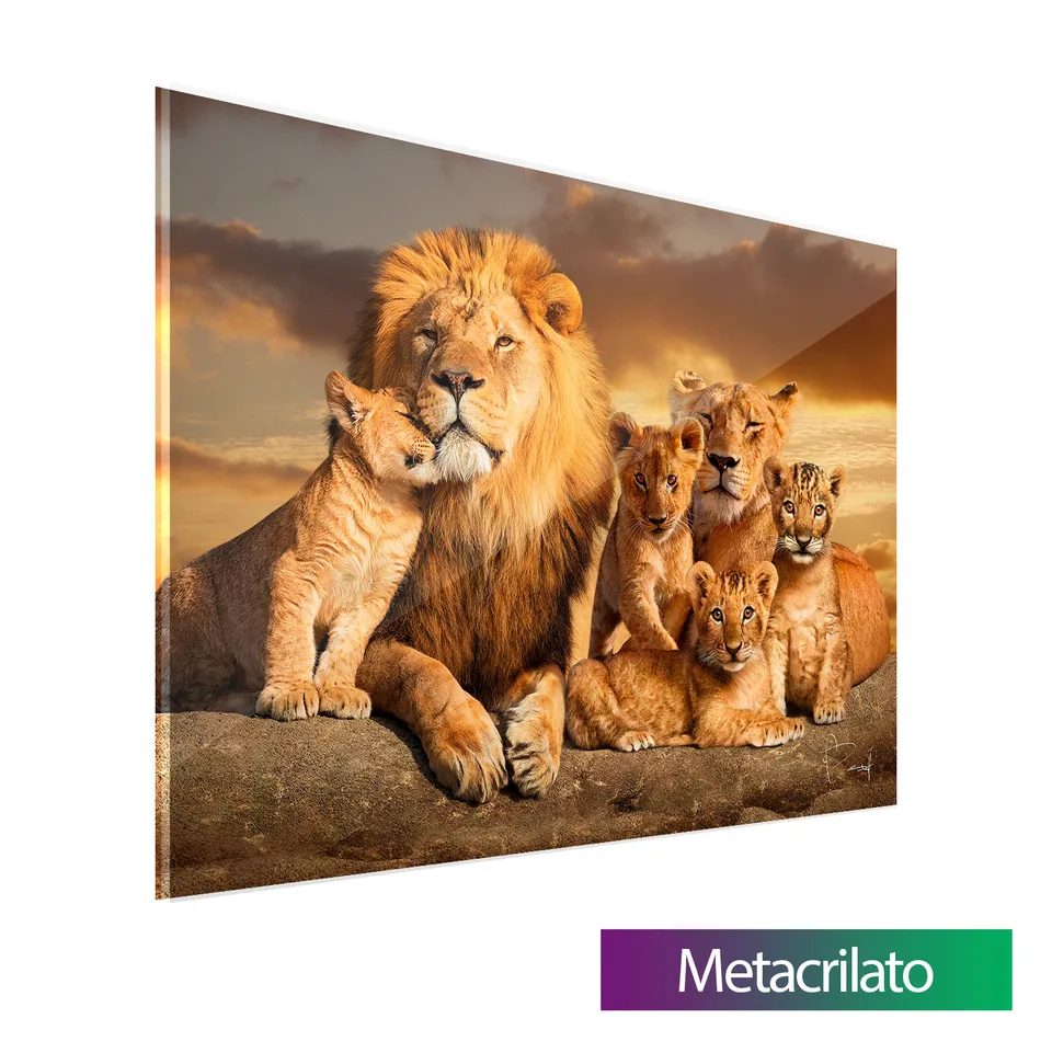 Quadro A Linhagem do Leão com 4 Filhotes com acabamento em metacrilato