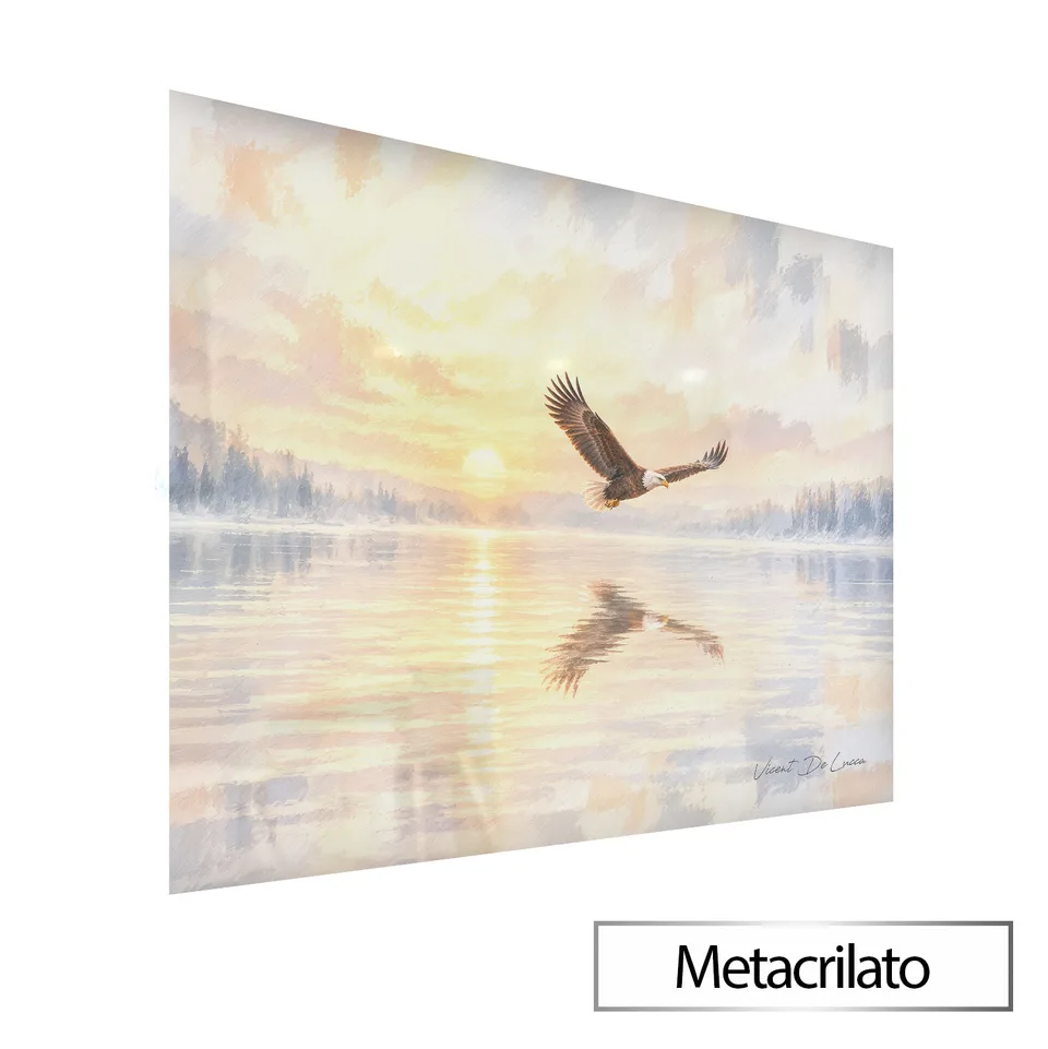 Quadro A Suavidade da Águia com acabamento em metacrilato