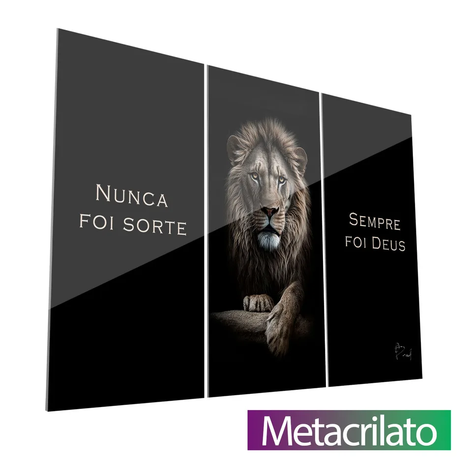 Quadro decorativos Nunca Foi Sorte, Sempre Foi Deus 3 Peças