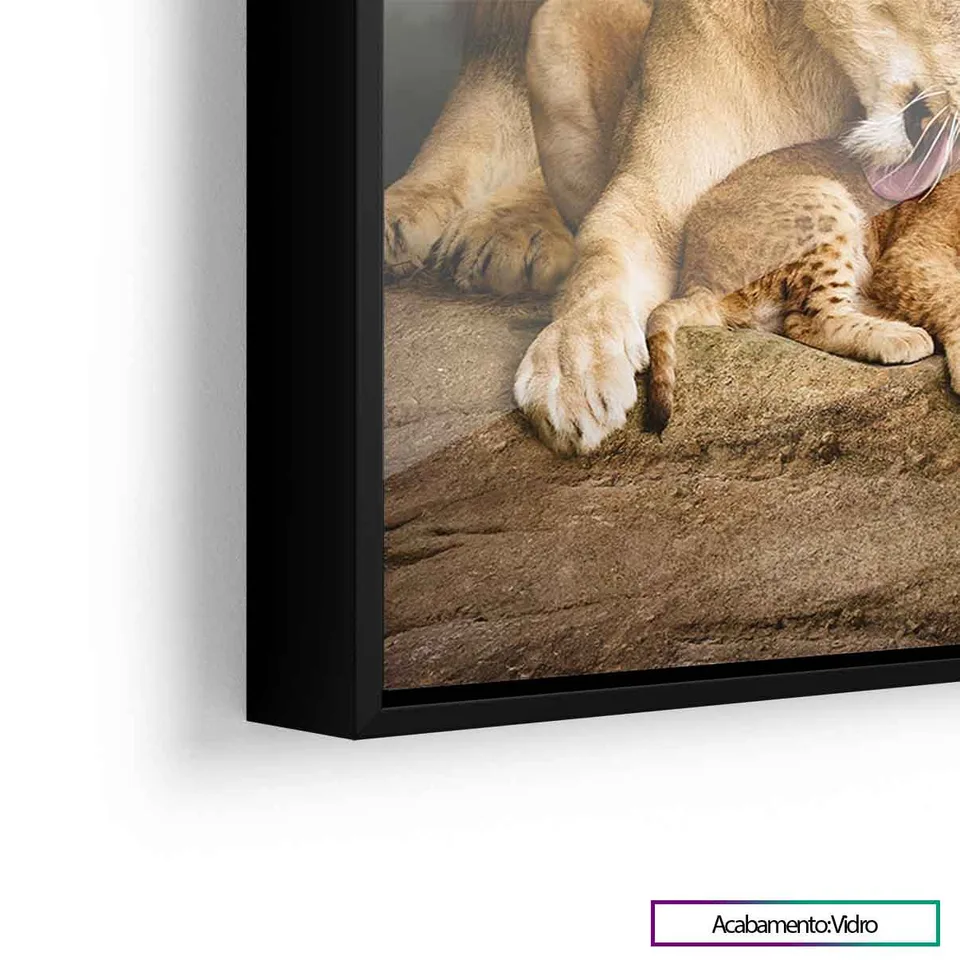 Quadro Família de Leões - O Primogênito com vidro