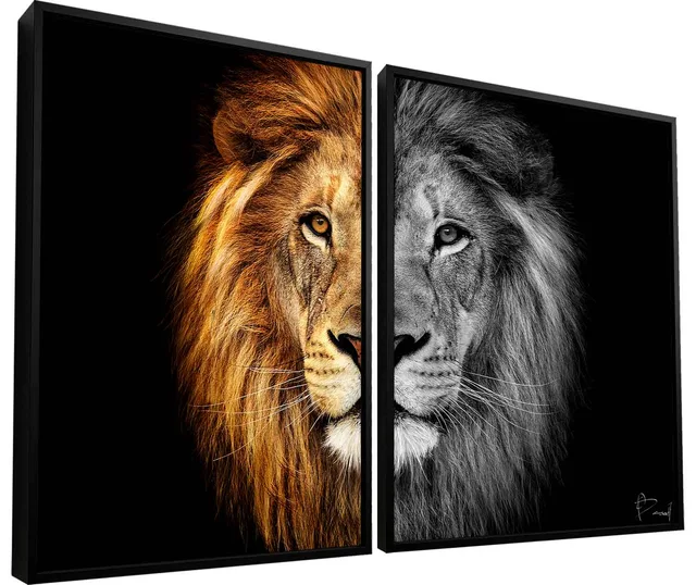 Quadro Leão Colorido e Preto e Branco 2 Peças. Leão metade colorido metade preto e branco, arte para escritório