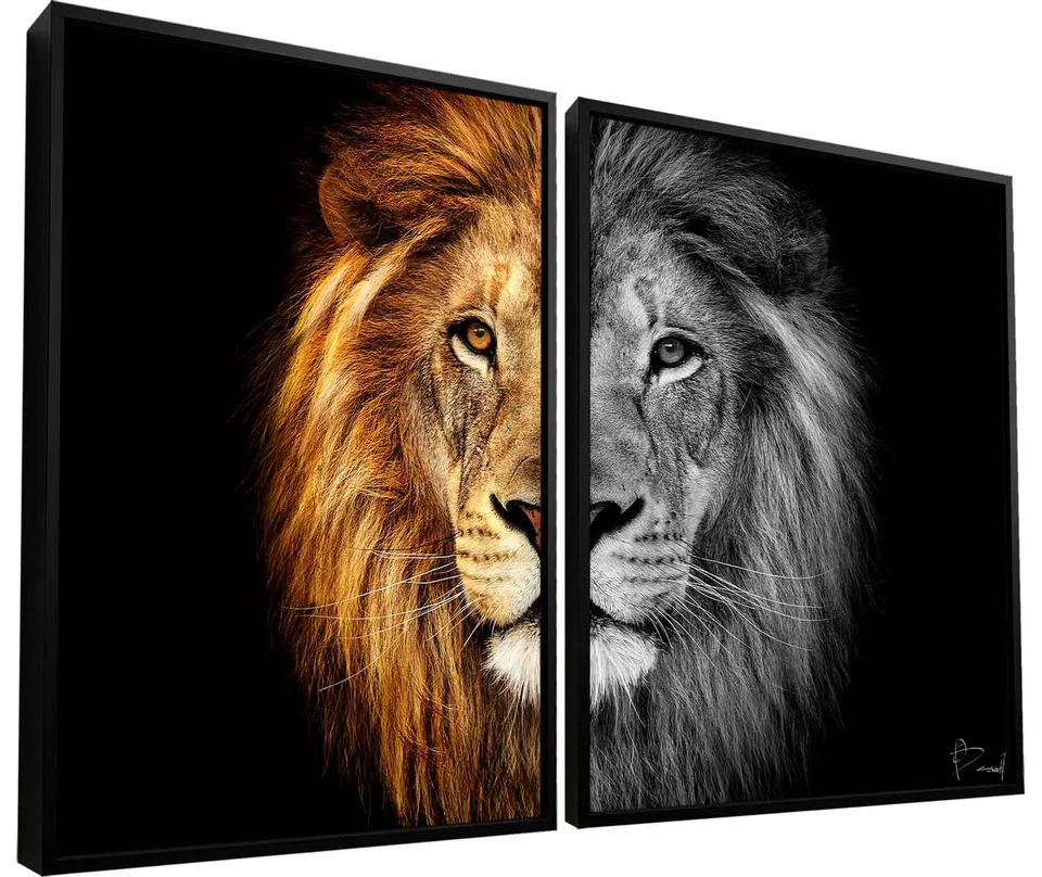 Quadro Leão Colorido e Preto e Branco 2 Peças. Leão metade colorido metade preto e branco, arte para escritório