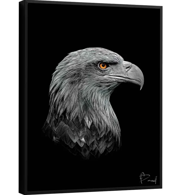 Quadro Águia Visionária
