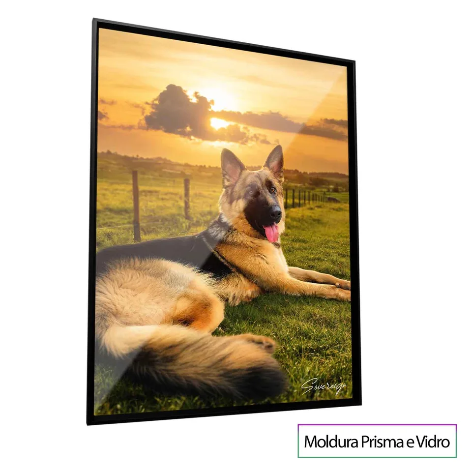 Masterpiece Pop Pet Art - Quadro Seu Animal com moldura Prisma e vidro (foto 6)