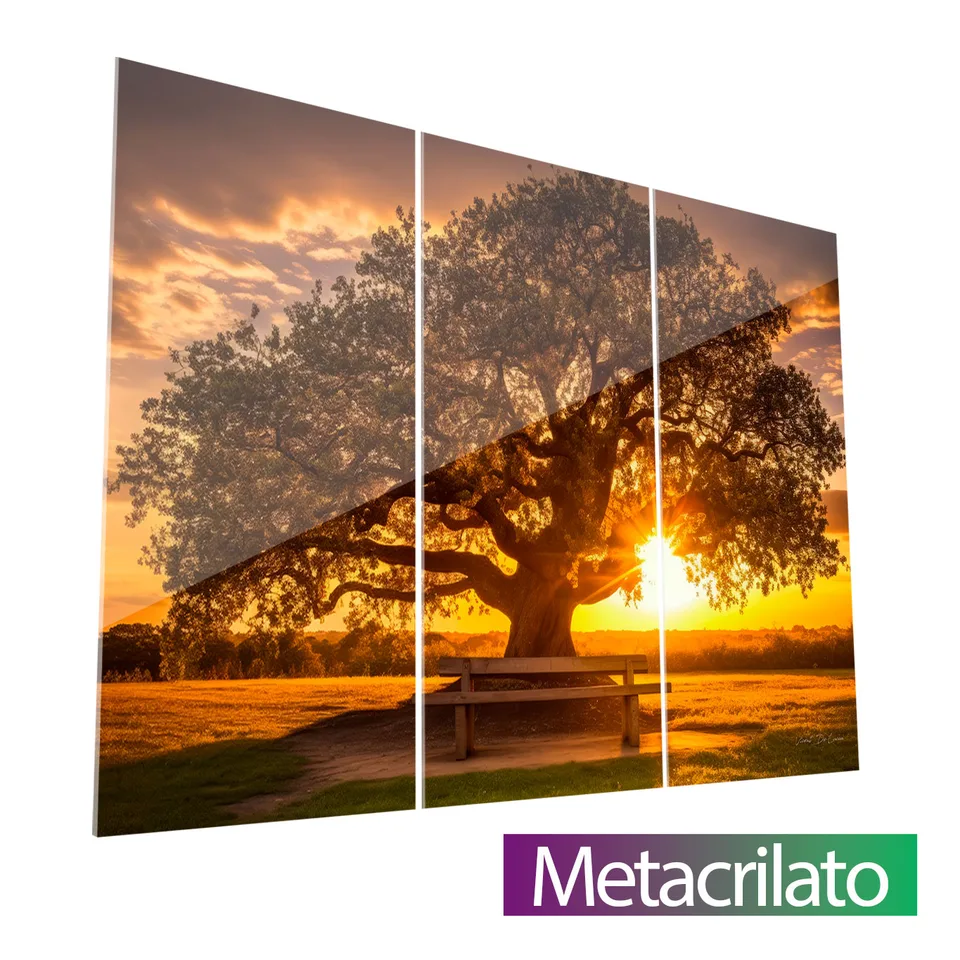 Quadro Árvore ao Pôr do Sol 3 Peças com acabamento em metacrilato