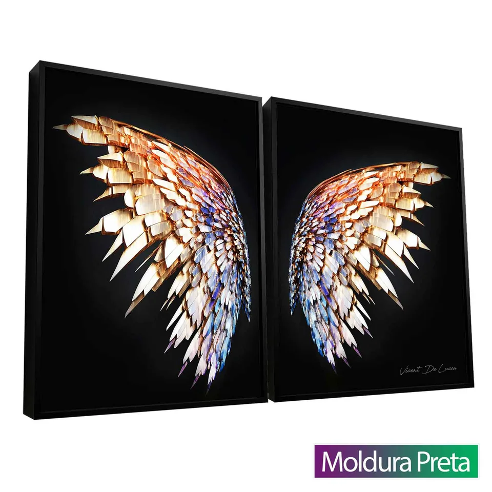 Quadro Asas Preciosas 2 Peças com moldura de filete preta