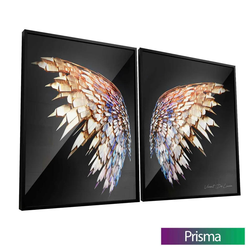 Quadro Asas Preciosas 2 Peças com moldura Prisma e vidro