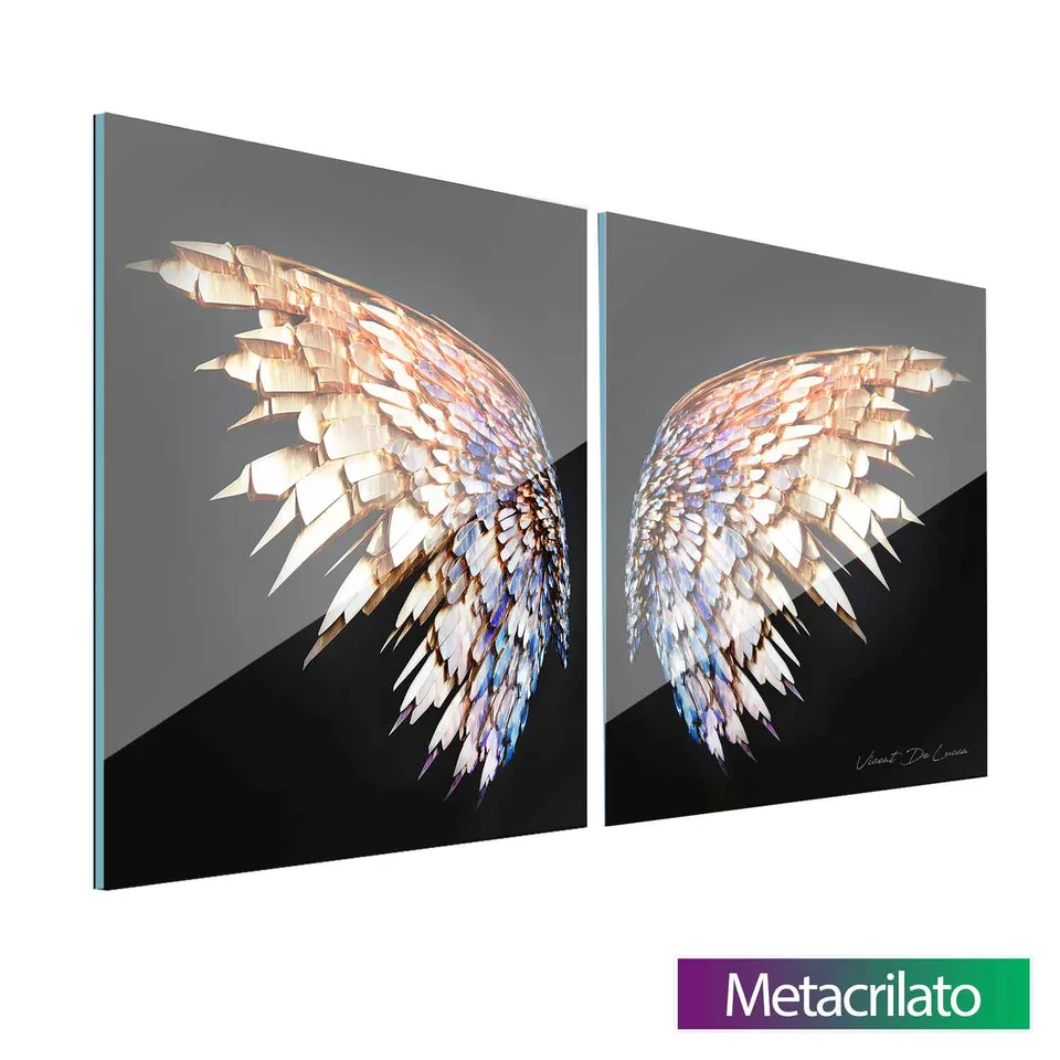 Quadro Asas Preciosas 2 Peças com acabamento em metacrilato